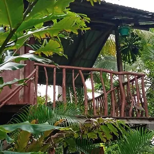 Gospodarstwo agroturystyczne Sigiri Panaromic Tree House, Sigirija