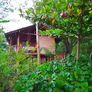  Accommodatie bij particulieren Akash Treehouse