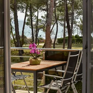 Denis Apartament Vir